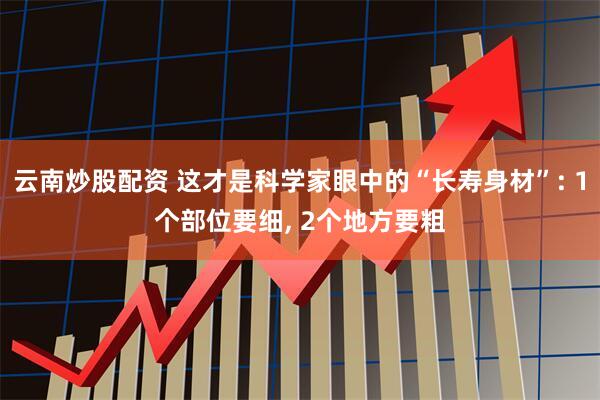 云南炒股配资 这才是科学家眼中的“长寿身材”: 1个部位要细, 2个地方要粗